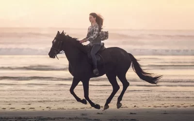 Belleza Negra Belleza Negra