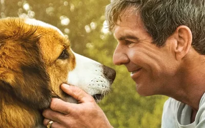 La Razón de Estar Contigo La Razón de Estar Contigo