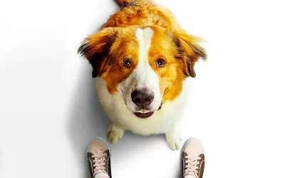 La Razón de Estar Contigo: Un nuevo viaje La Razón de Estar Contigo: Un nuevo viaje